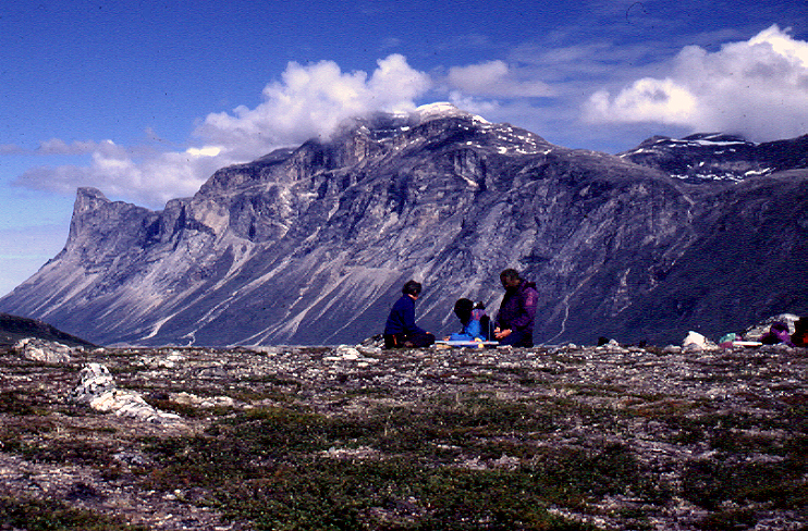 Vegetationsanalyse ved Itinnera, Nuukomr�det