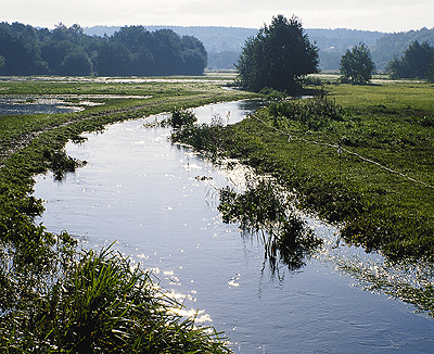 Foto : Bent Lauge Madsen