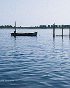 Foto: DMU/B: Christensen