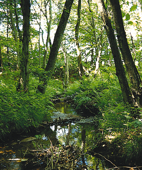 Foto: DMU/Nikolai Friberg