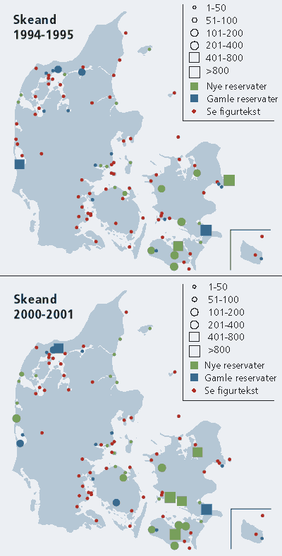 Danmarks-kort, der illustrerer fuglenes respons p etableringen af de nye reservater
